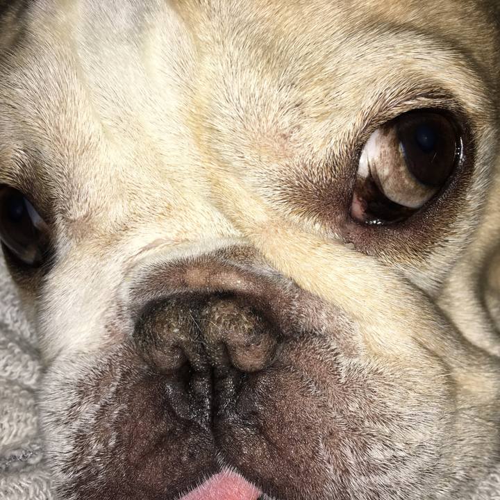 12735b6f 1dd6 4192 a47f 72c34fbd57eb