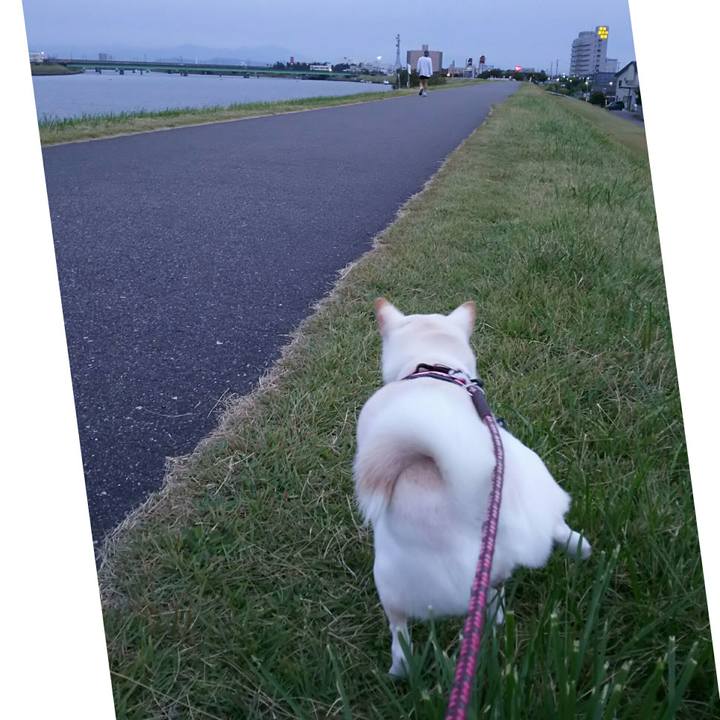 127378bf 4813 456b 823e bf41f9dfbb3d