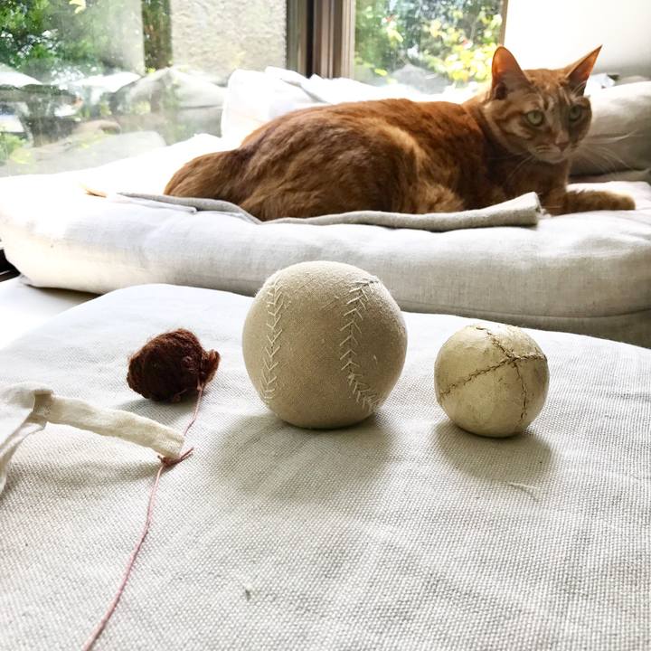 12740997 b209 4197 b31d 0ac9af7a21b8