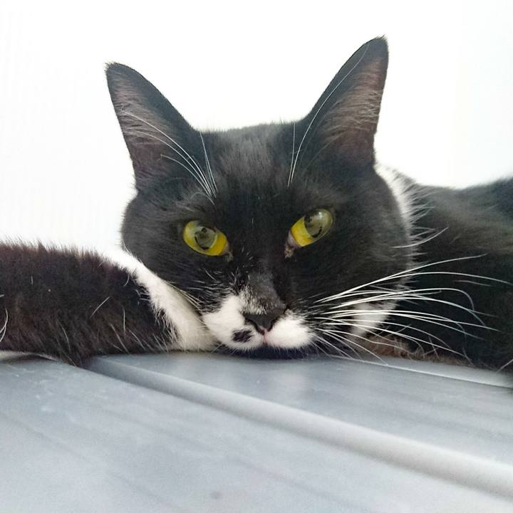 12749663 8c91 49db bf3e 7a63cce42c11