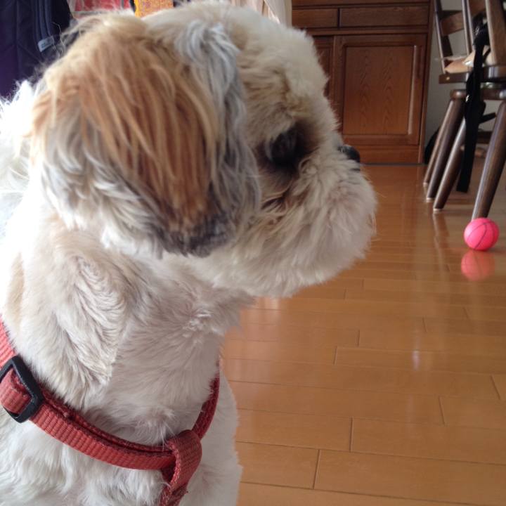 127532e9 4d7e 4f3c b563 5bcfb04c9ae4