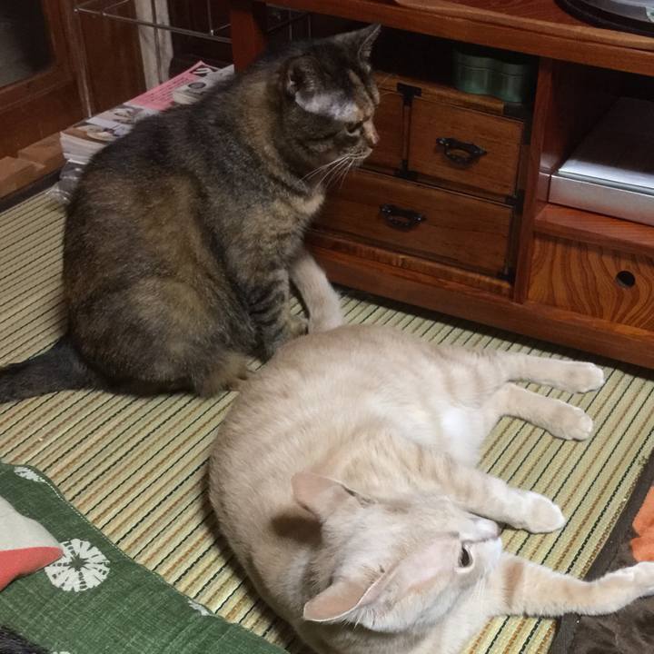 1275bc51 4ce6 42d8 a2df e85ec39ff672