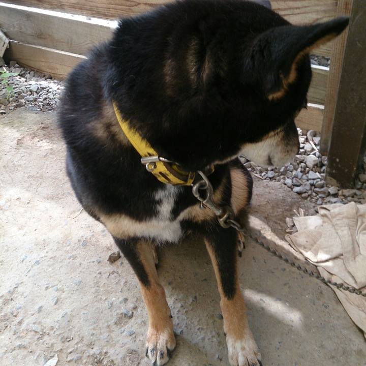 1275e3a9 39b3 4016 aea2 b9fe2d666d51