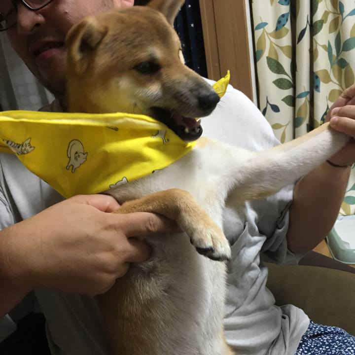 12762988 8ea9 4faa 82df b9eddcc028c5