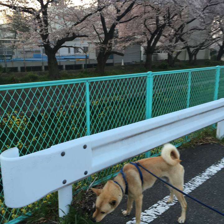 12765d43 d68c 4c88 a332 a6a550e2543c