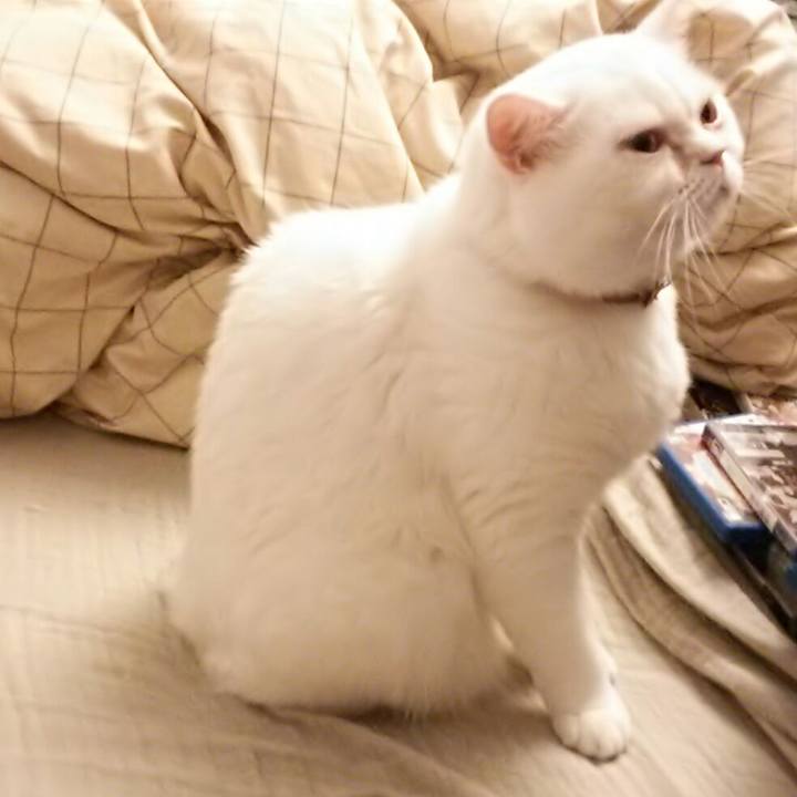 12769427 6cce 4b19 b7f7 b2a485467339