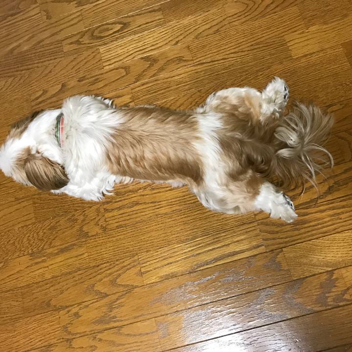 1276ca56 d38d 479a a796 4e5d764a45a8