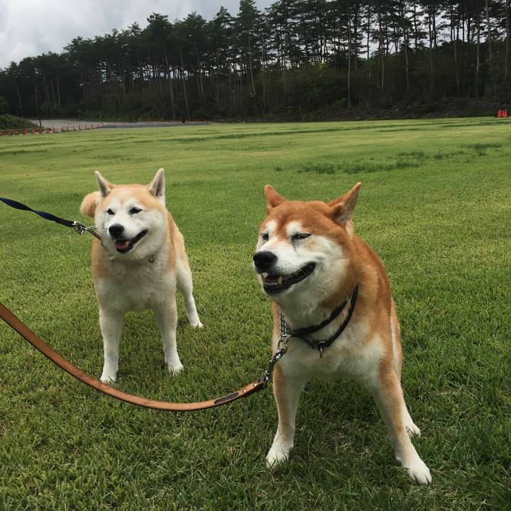 12777d45 9059 415e 80d4 b5a6ca164319