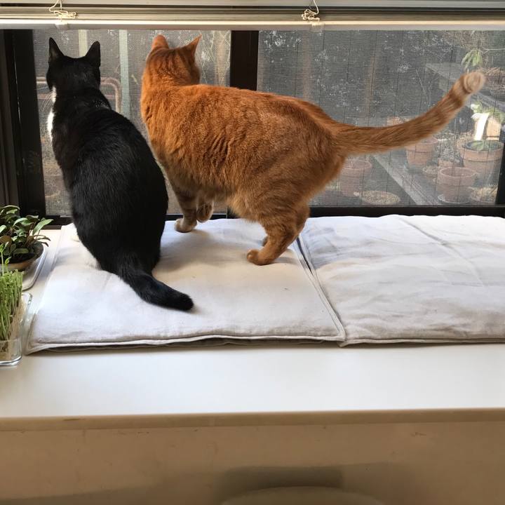 1277a1a1 2fcb 40b2 b596 f29aaa450675