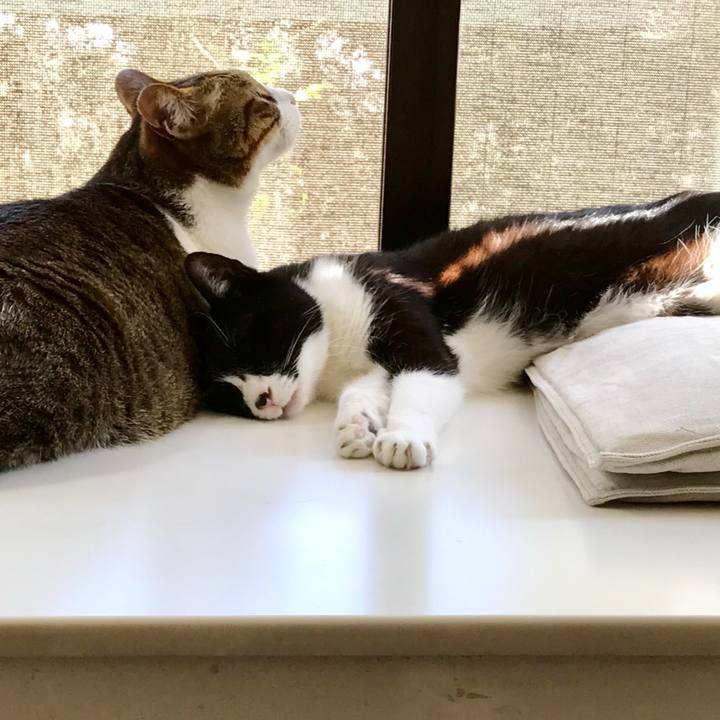 1277addd 1312 4b51 991f 3e3288f2b874