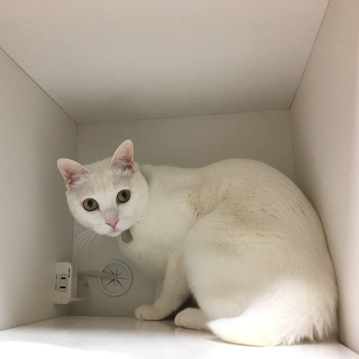 12782f84 59e1 46af 91c7 0490d0a6c5ac