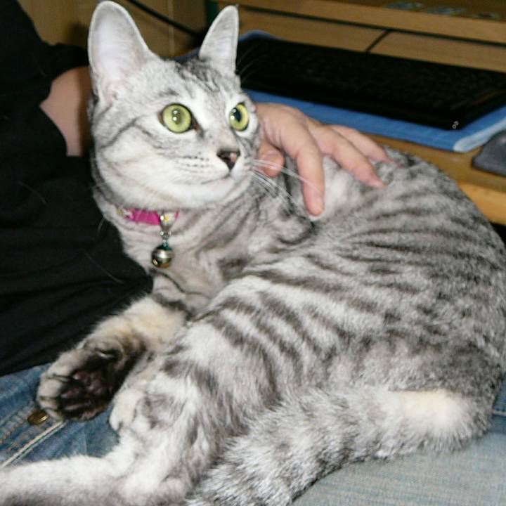 1278ce05 448f 4b81 a2bd faa94cc58f4e