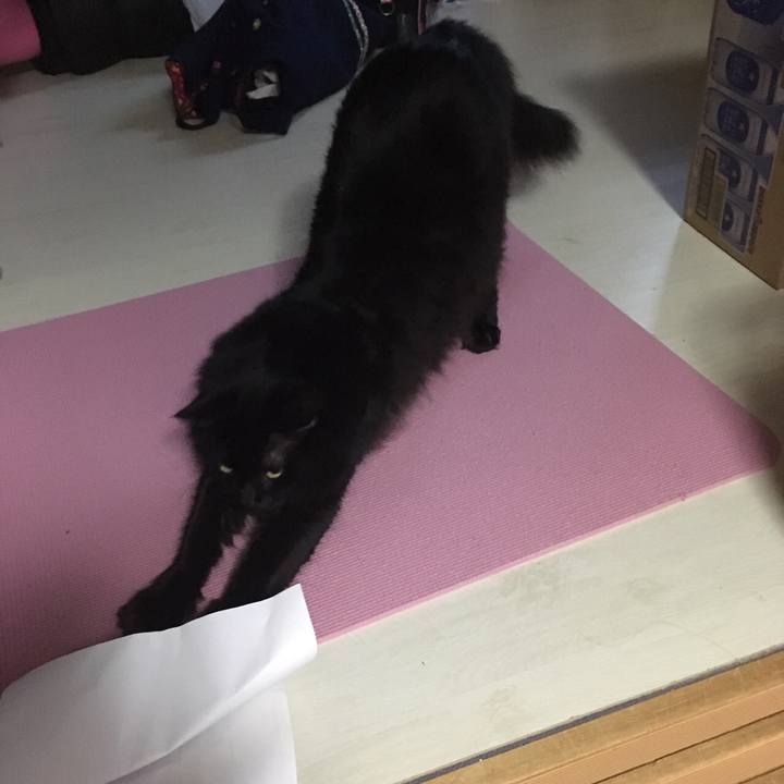 1278d2f5 1e03 421e bea7 1bc1a91ea325