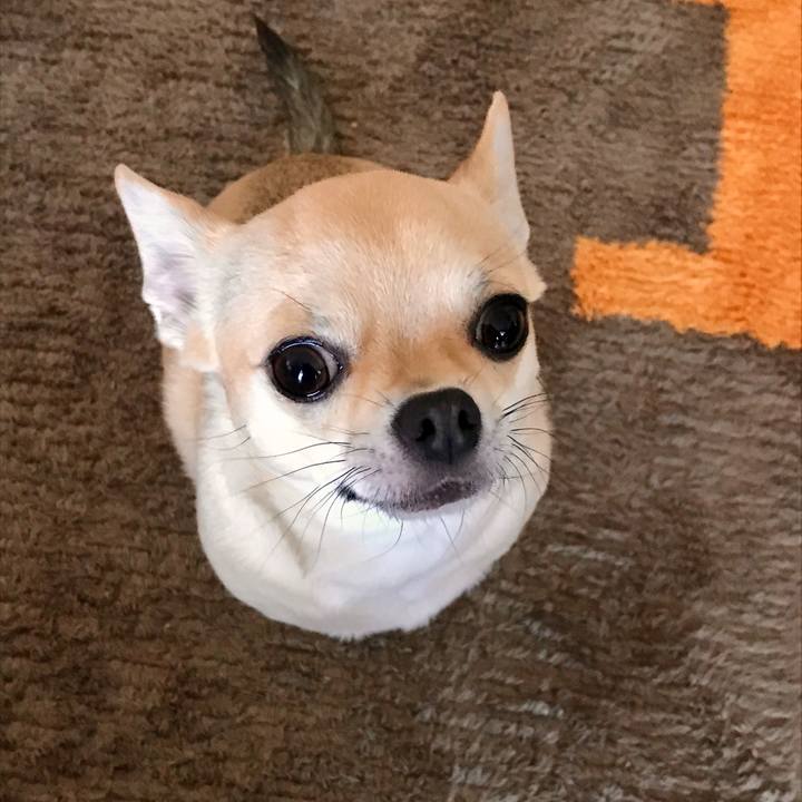 1279426d f5b5 485a b048 9488fe97501d