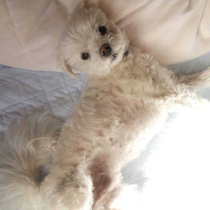 127953f6 2310 41fd 9d98 402487eb81f0