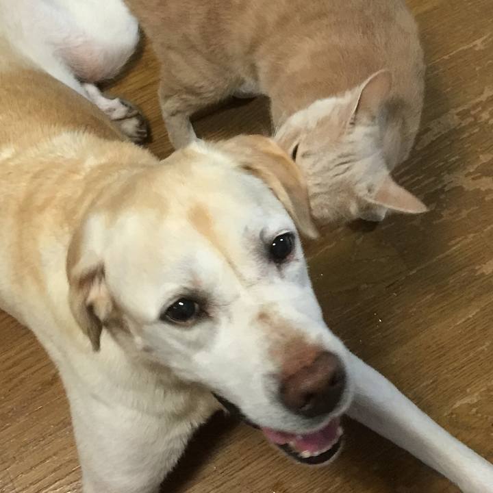 127987e8 8ee3 429f a83b e86501893597