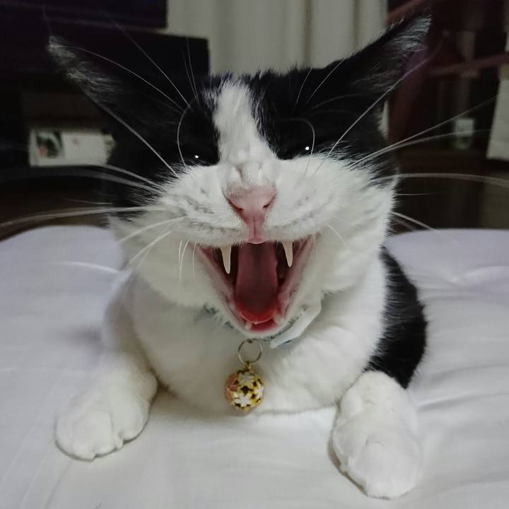 1279dac9 7aec 4283 8773 02cae3335dcd