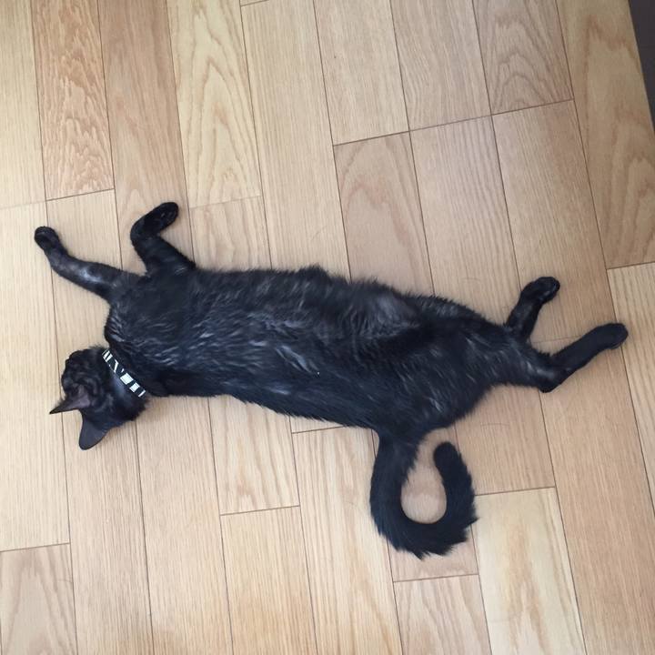 127a6b96 9671 4f72 91ba d737fcdfcdf9