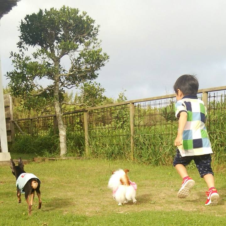 127a9573 865a 4b8d a84a ecc92223478e