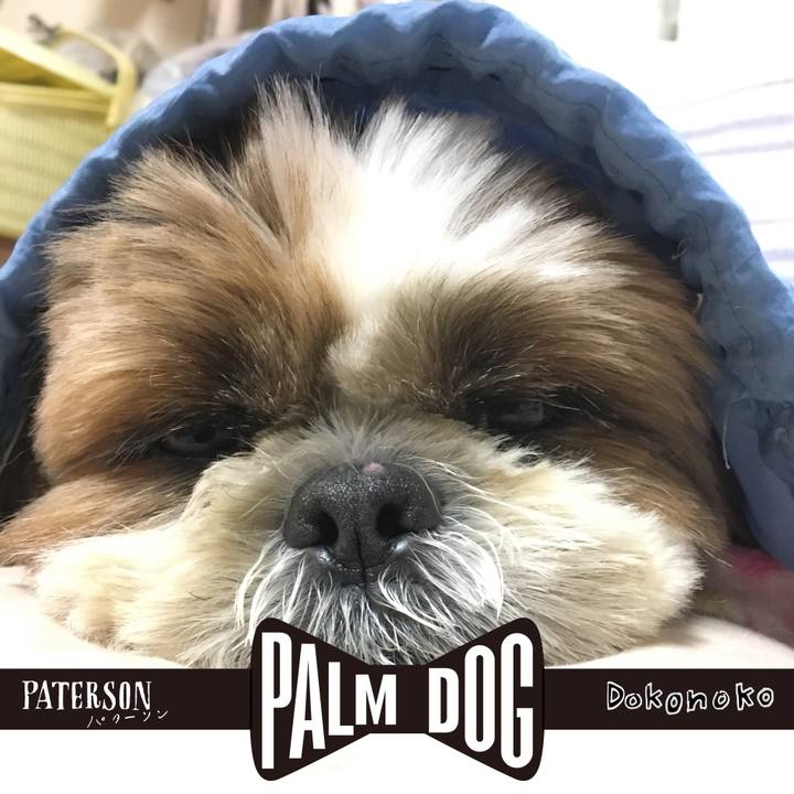 127a996b 09f0 4426 b1ae 79e62461a380