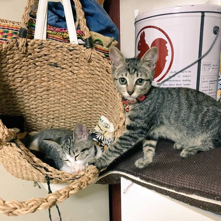 127a9dbd fb35 4348 8933 ede7c0800b90