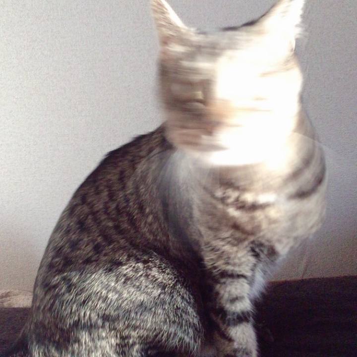 127ae436 8a59 460d 8666 e5b4afe2d8e2