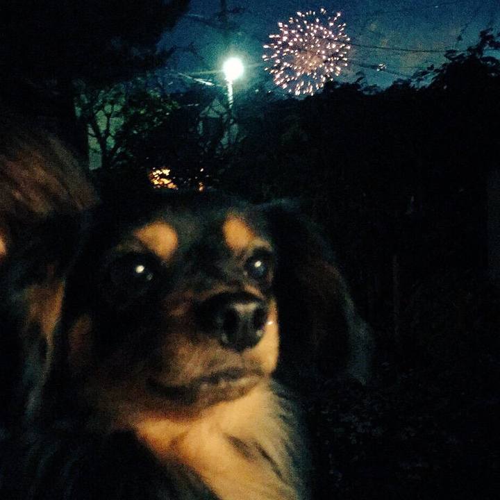 127afd83 7e9d 41f8 81b4 692d83453fb3