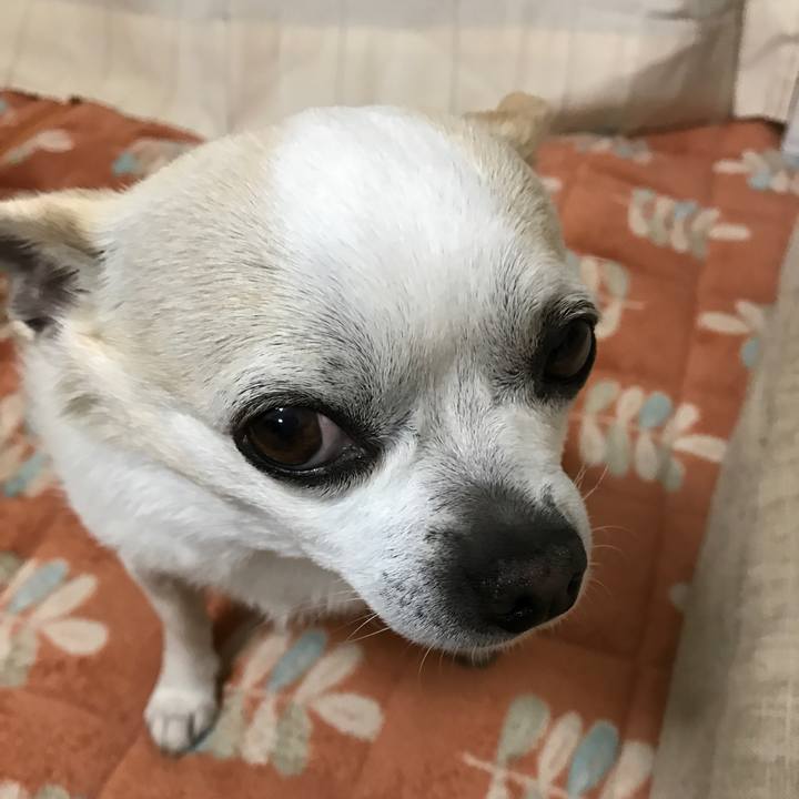 127b3075 ec6d 4cfb a258 d1186f20dfaf