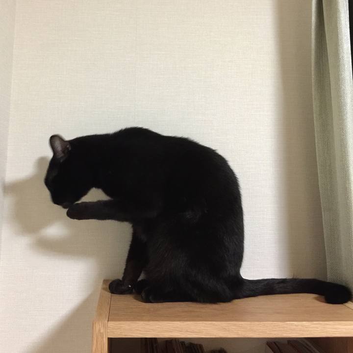 127b37b2 4a95 4462 aa01 f3cb47cb1b5c