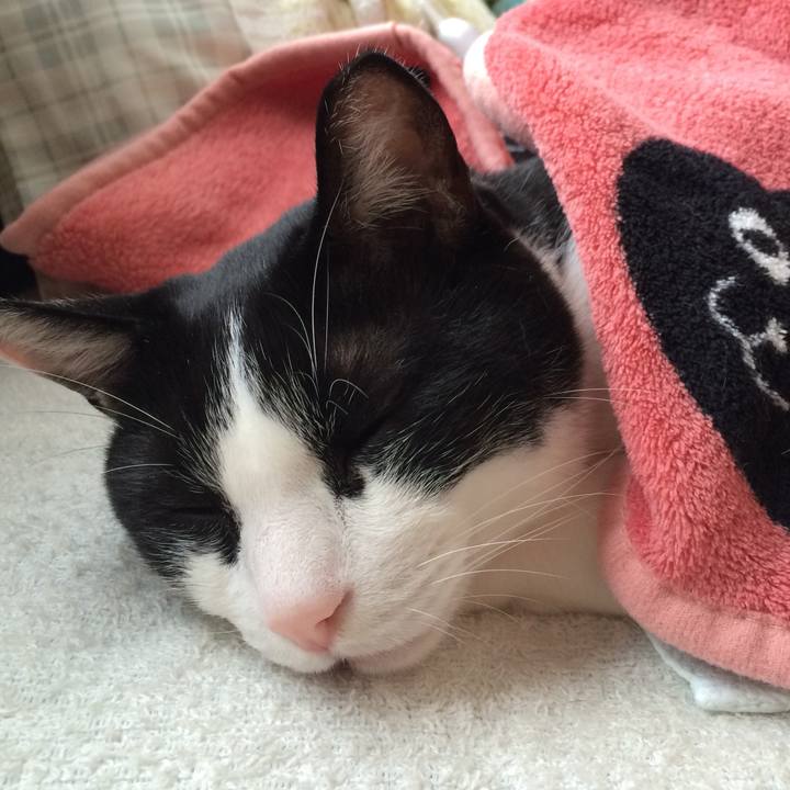 127b4aac 128c 4793 adde 863d7f260017