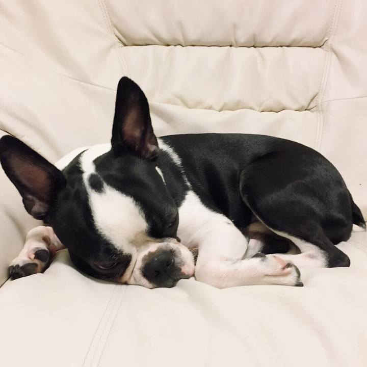 127ba8df 8978 488e bbce 7015a7af3dc1