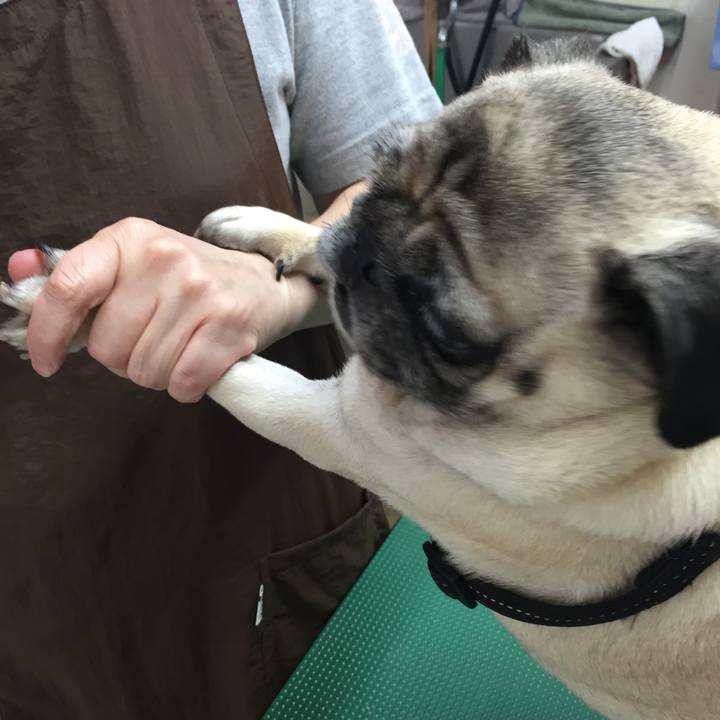 127bb24c a840 444c 9202 79d0ceb4877c