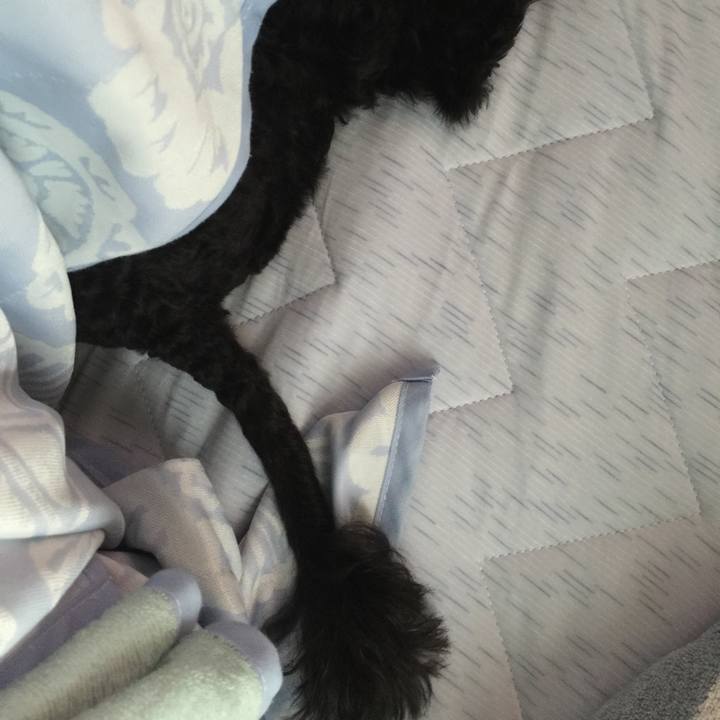 127c4484 02e3 4c47 8f30 c696ddb32f05