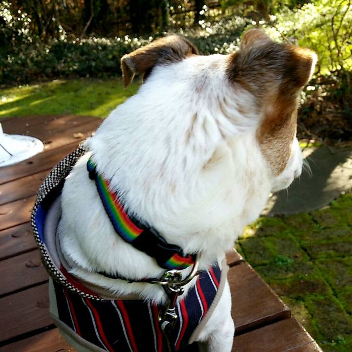 127c482b 43e8 4434 a3cd 56503f5572b4