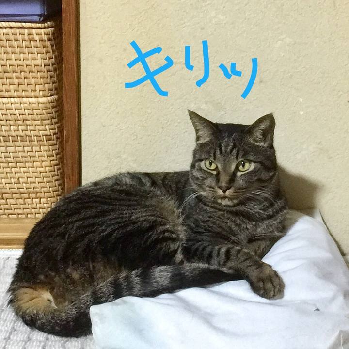 127d3043 216f 4931 9c0b 13f961e6c100