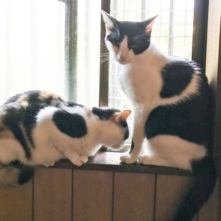 127d4e17 aa4a 42c2 bdc0 2400ef0fbc58