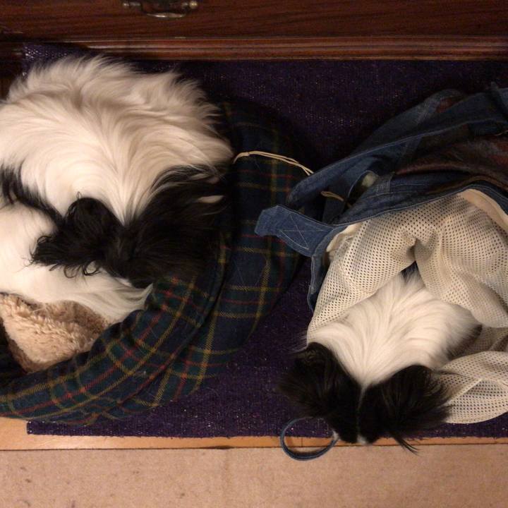 127d5017 981b 4e89 a20c 562d70a0e707