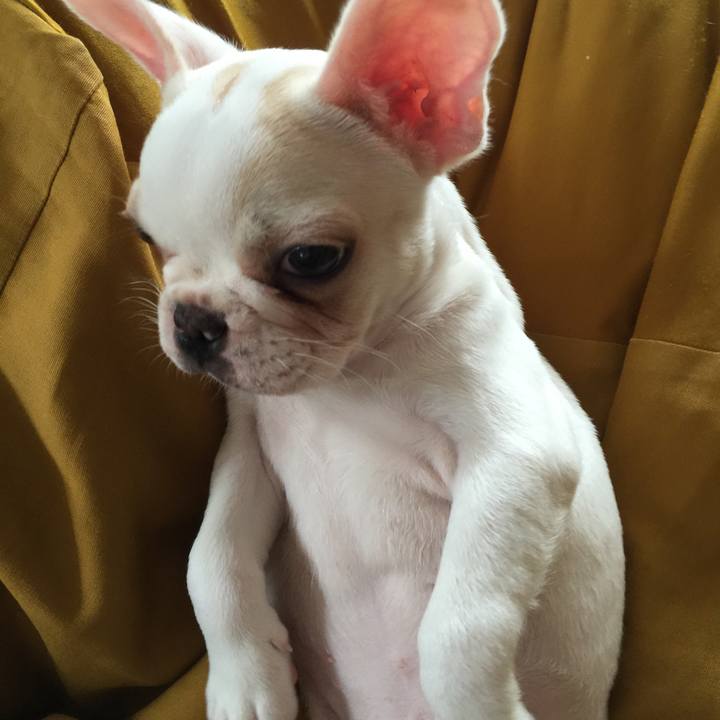 127d953e 1f34 49bf 97aa 99ae62d63df8