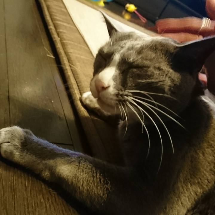 127de7c0 72d3 48f1 80a1 662b95dda6a7