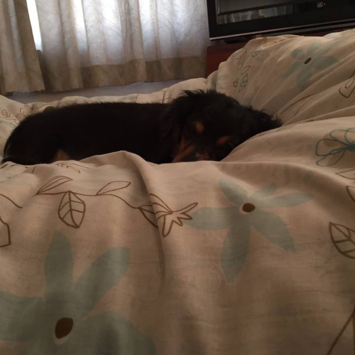 127e27c7 88d8 4f91 a8fc 171f0d714bbe