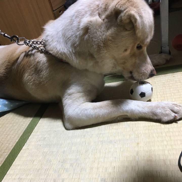 127e3530 f72a 4f6c ac02 68519f236a57