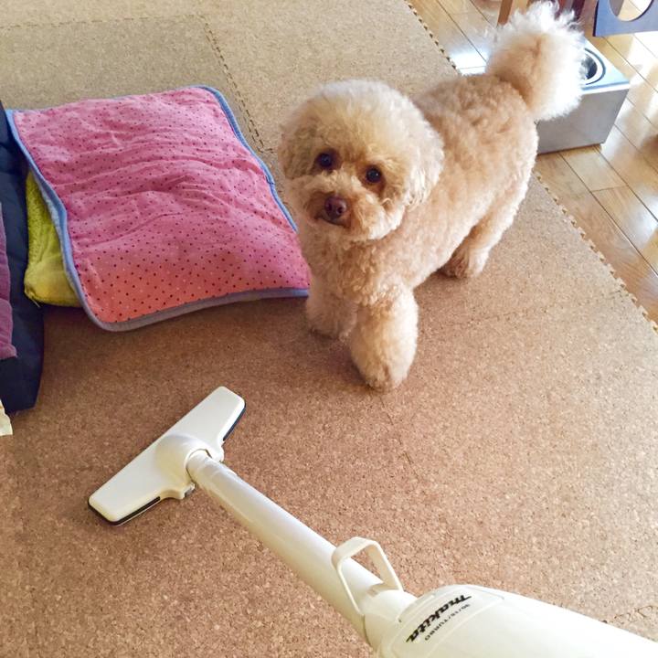 127e86f7 48a3 4da5 bc55 e43627077513