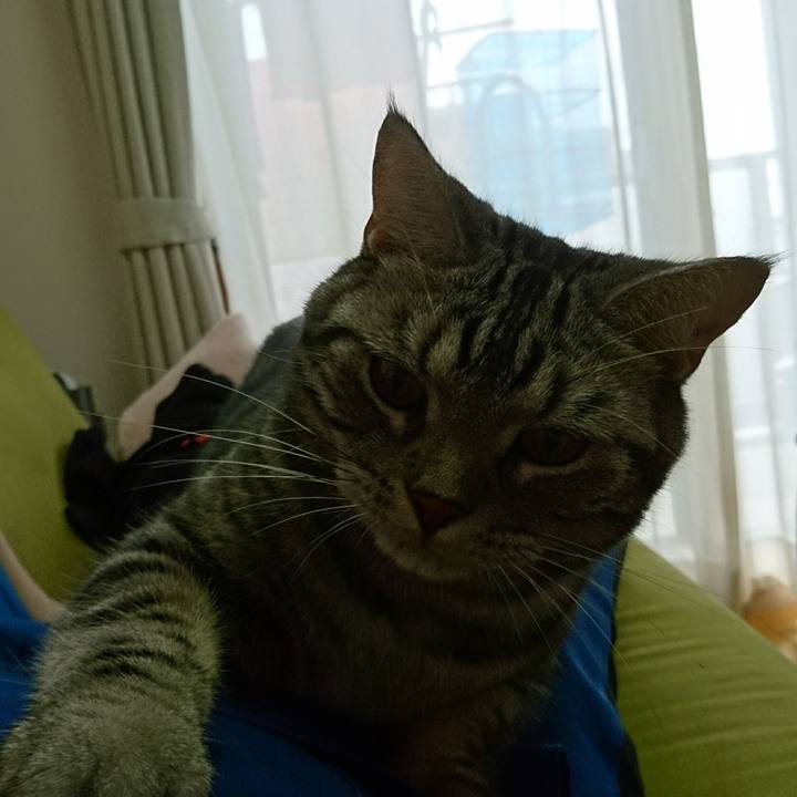 127ef364 bfd9 4dcf aa28 0849aec4e11a