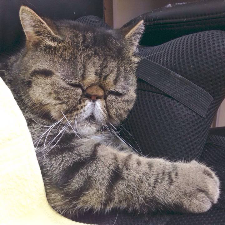 127f096e 6ad2 4c06 987f fd0b1ebb1ab0