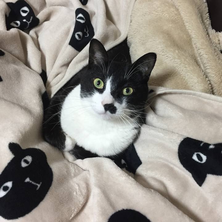 127f21d2 5be6 416d a8e0 8f72b44a326b