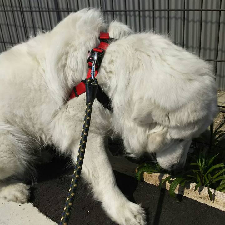 1280c27a 66c5 414f a860 011f138e51be