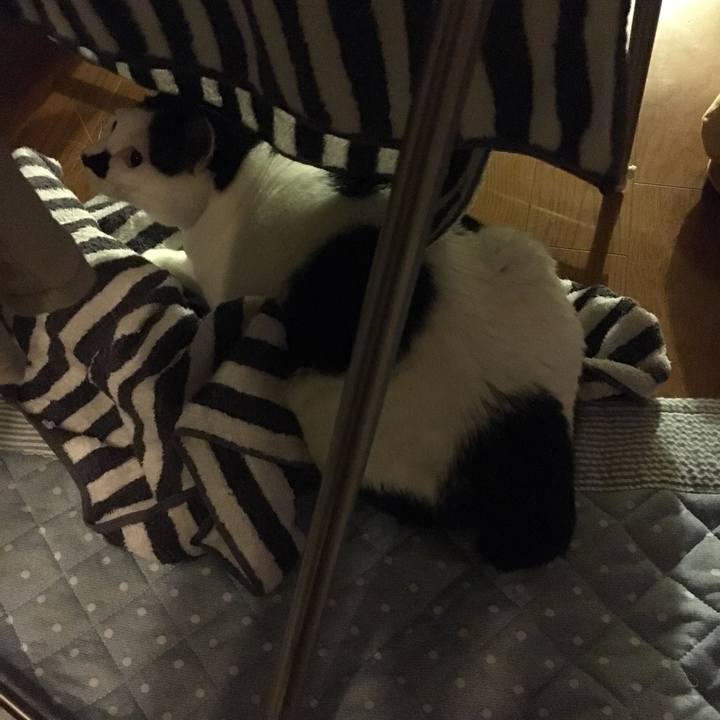 1280cdbd 85e9 4d65 9458 162447106b79