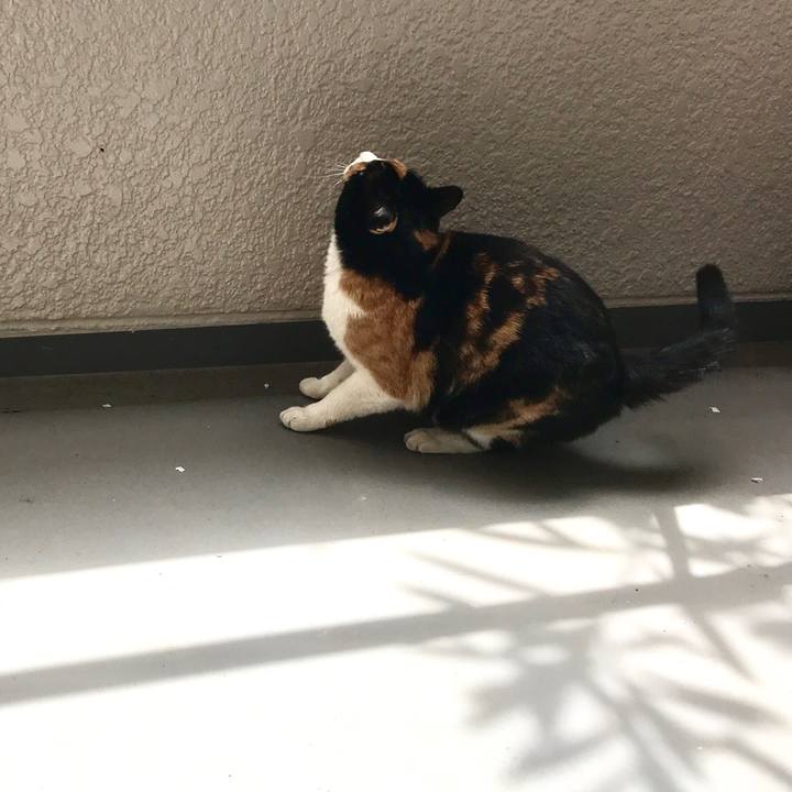 1280d7a0 8db9 4390 945d 7d3d0e096ddc