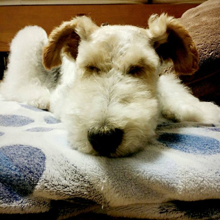 12810024 31dc 4d60 b5a9 088b4d3521cf