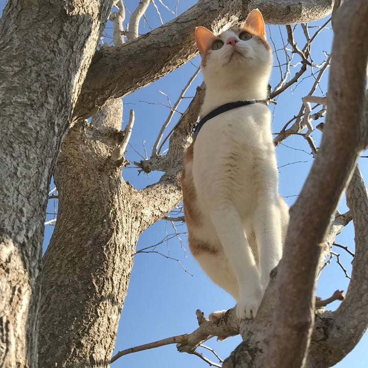 128120bd 5c52 4b38 9661 b31b2e85a6cc